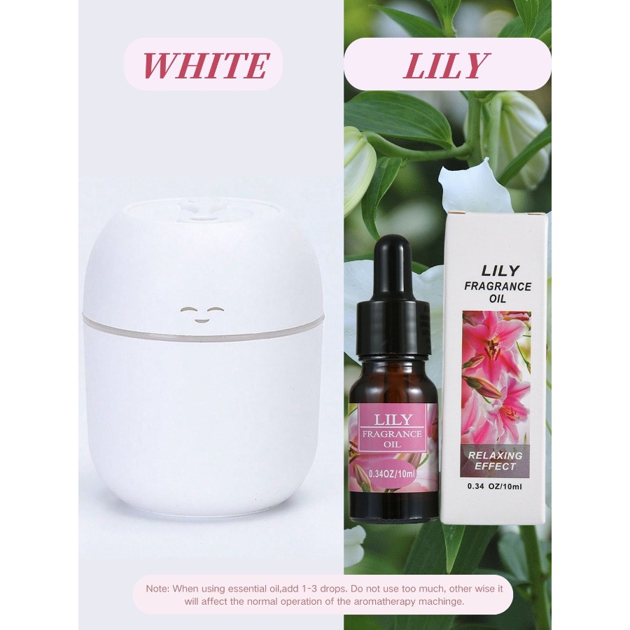 220ML USB Mini Aroma Diffuser  – Home Fragrance System Bewertung und Preis