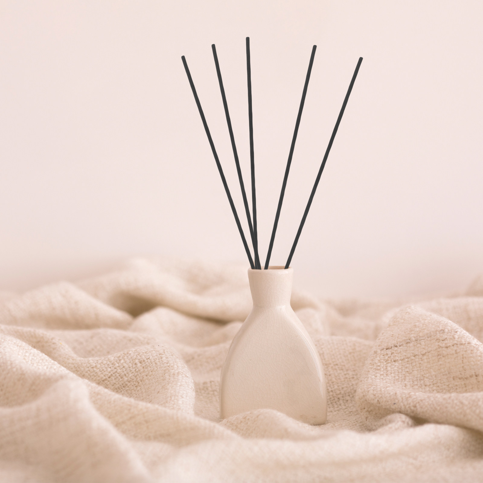 100Pcs Black Fiber Reed Diffus – Home Fragrance Diffuser Bewertung und Preis