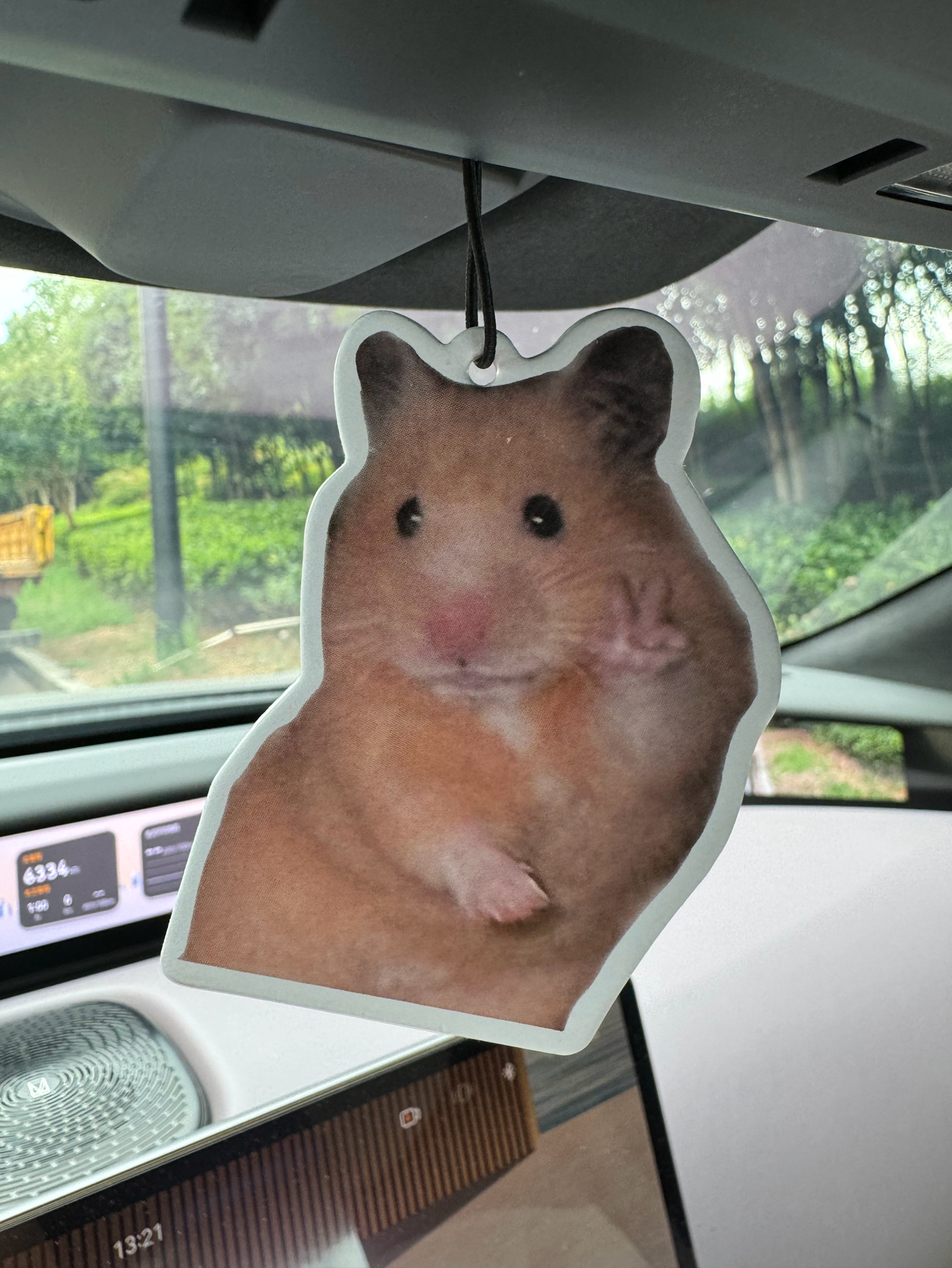 Magnet Hamster Meme Magnet Ham – Home Fragrance M&S Disinfectant Hack Bewertung und Preis