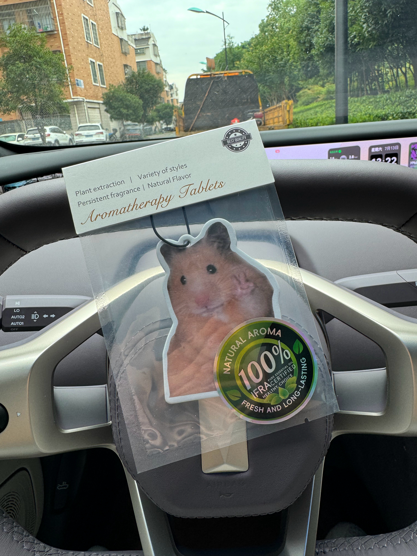Magnet Hamster Meme Magnet Ham – Home Fragrance M&S Disinfectant Hack Bewertung und Preis