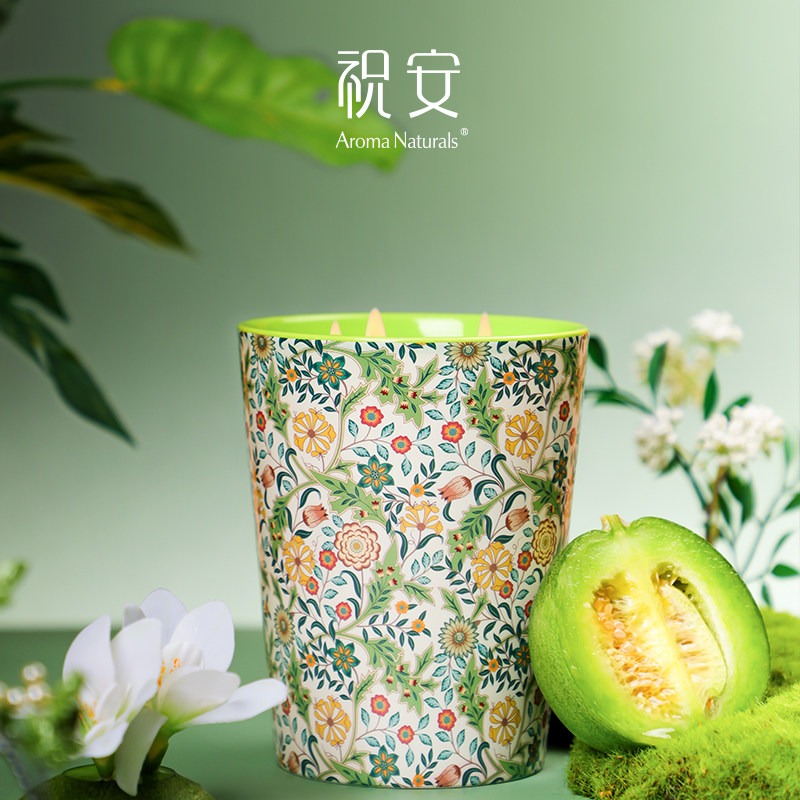 Artist Series Aroma Naturals S – Home Fragrance Large Bewertung und Preis